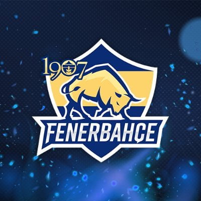 1907 Fenerbahçe Espor Fifa Sahnesinde