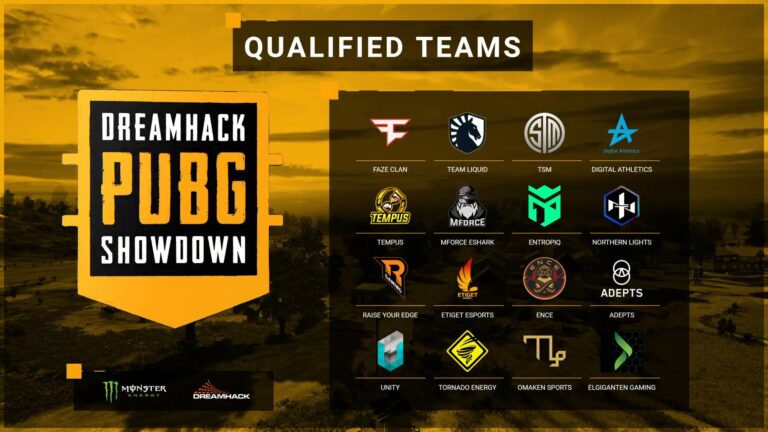 DreamHack PUBG ShowDown Finali İlk Günü Sona Erdi