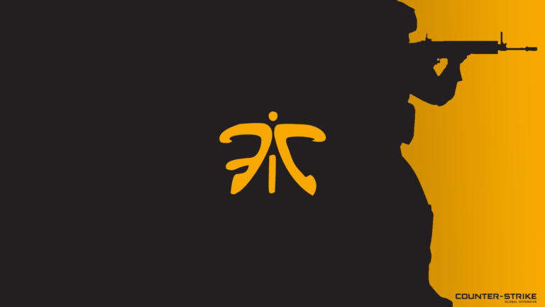 fnatic uluslararası takım