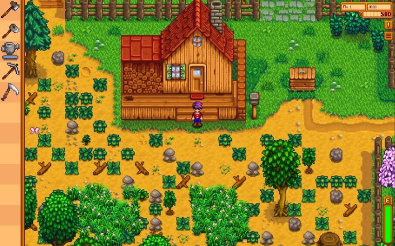 Stardew Valley Cup Sona Erdi!