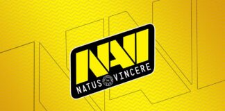 npl, sdy Yerine NAVI Takımına Katıldı REBELS FINAL Şampiyonu NAVI