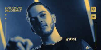 Denizbank İstanbul Wildcats AslaN Transferini Duyurdu!