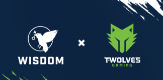 Wisdom Gaming Studios, T-Wolves Gaming İle Partner Oldu!