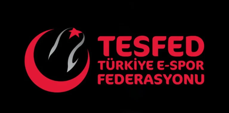 TESFED, TFF Tarafından Haklarının Gasp Edildiğini Düşünüyor