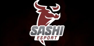 Sashi, Eski Astralis Analisti HUNDEN ile Anlaştı Sashi, Eski Astralis Analisti HUNDEN ile Anlaştı