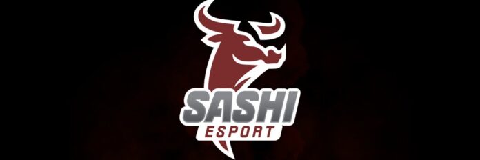 Sashi, Eski Astralis Analisti HUNDEN ile Anlaştı