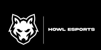 HOWL Esports Kadrolarını Duyurdu!